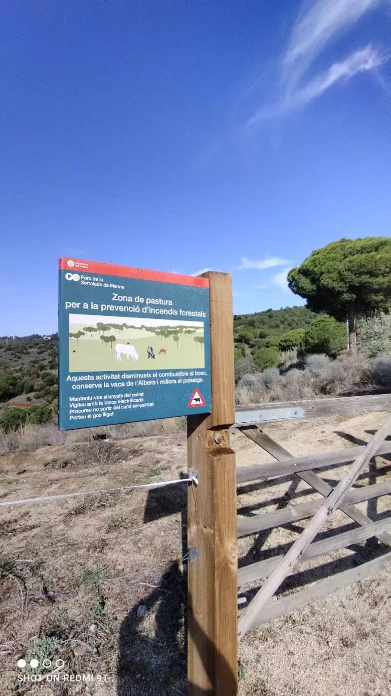 Escuela Pública Sierra de Marina