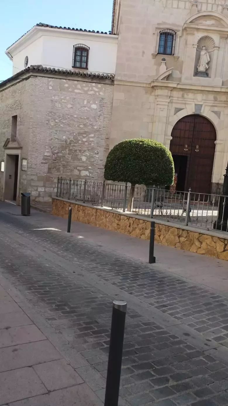 Colegio Concertado La Purísima Hijas del Patrocinio de María-Lucena...